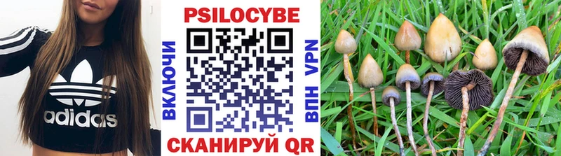 Галлюциногенные грибы Magic Shrooms  Купить где  Бугуруслан 