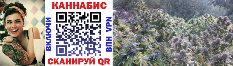 Бошки Шишки Bruce Banner Бугуруслан